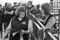 Longtown Mart Young Handlers sponsored by Farmers Guardian - 8th August 2024-9